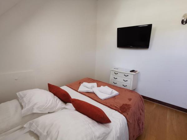 Hotel La Résidence Manoir De La Salamandre : photo 2 de la chambre chambre double avec douche