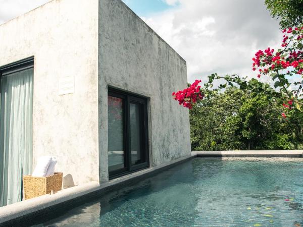 Panacea Condo Tulum : photo 7 de la chambre suite avec piscine privée