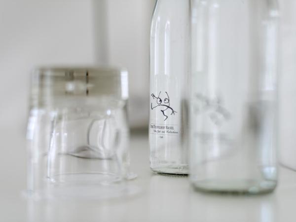 Boutique Hotel Waldhaus beider Basel : photo 2 de la chambre chambre simple