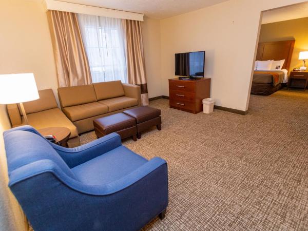 Comfort Inn Downtown : photo 4 de la chambre suite 2 lits queen-size - non-fumeurs