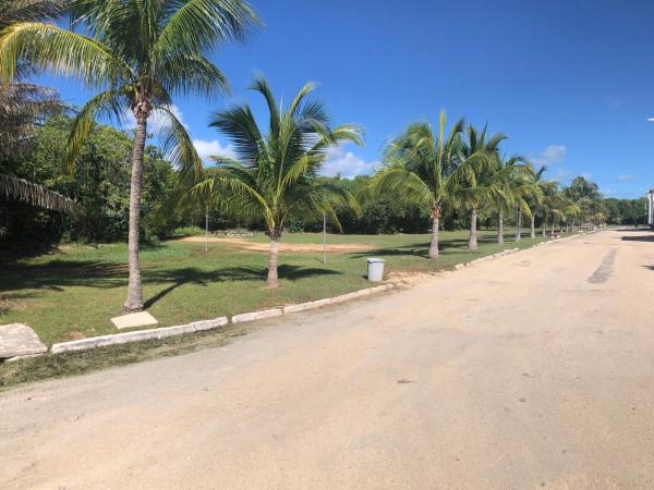 Cancun Ocean View KABIL Playa del Niño : photo 3 de la chambre studio lit king-size avec canapé-lit