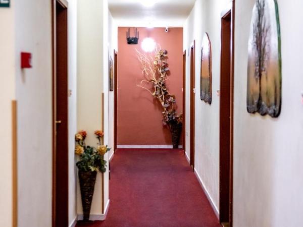 Manzard Panzio : photo 1 de la chambre chambre double ou lits jumeaux