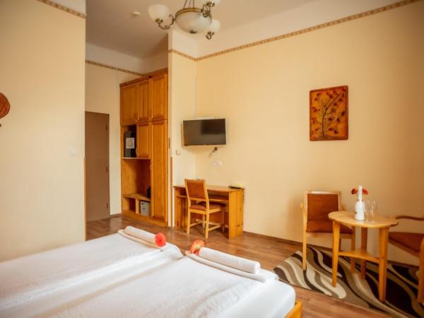 Manzard Panzio : photo 6 de la chambre chambre double ou lits jumeaux