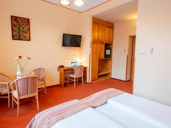 Manzard Panzio : photo 9 de la chambre chambre double ou lits jumeaux