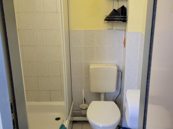 Pension Hubertus : photo 8 de la chambre chambre simple avec salle de bains 