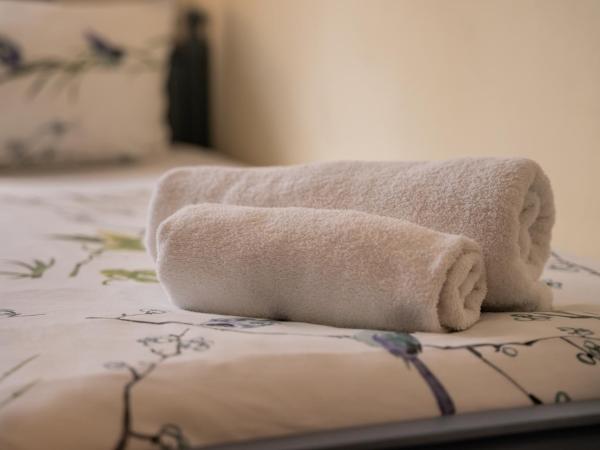 Hotel Dori´s 108 : photo 3 de la chambre chambre simple avec douche 