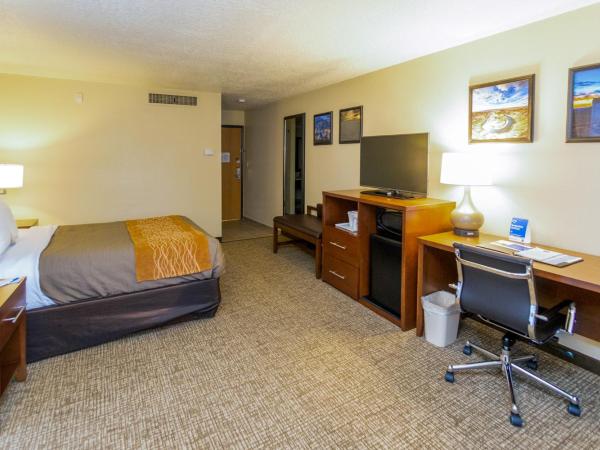 Comfort Inn Downtown : photo 1 de la chambre chambre lit king-size standard - non-fumeurs