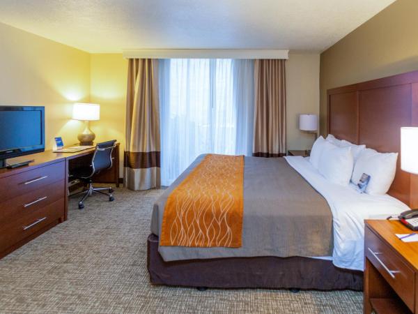 Comfort Inn Downtown : photo 2 de la chambre chambre lit king-size standard - non-fumeurs