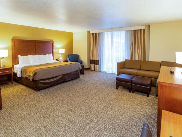 Comfort Inn Downtown : photo 1 de la chambre suite lit king-size avec canapé-lit - non-fumeurs