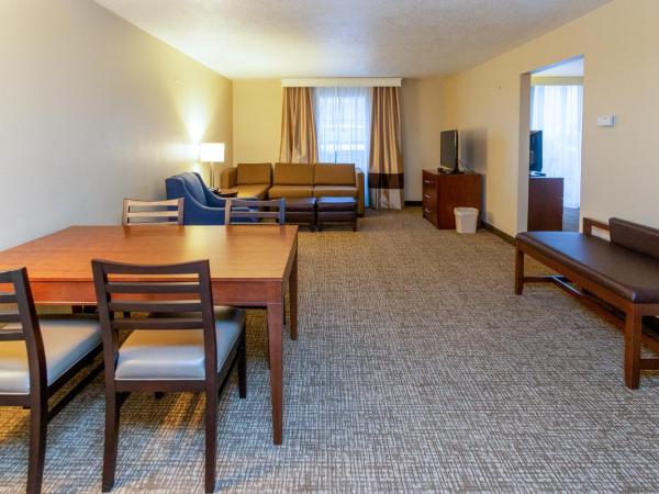 Comfort Inn Downtown : photo 2 de la chambre suite lit king-size avec canapé-lit - non-fumeurs