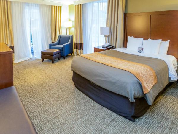 Comfort Inn Downtown : photo 3 de la chambre chambre lit queen-size - non-fumeurs