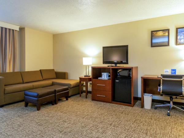 Comfort Inn Downtown : photo 3 de la chambre suite lit king-size avec canapé-lit - non-fumeurs