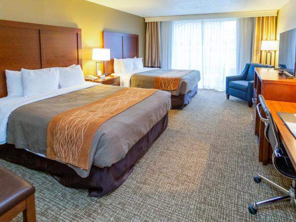 Comfort Inn Downtown : photo 9 de la chambre chambre 2 lits queen-size - non-fumeurs