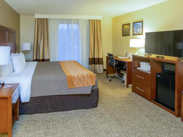 Comfort Inn Downtown : photo 5 de la chambre chambre lit king-size standard - non-fumeurs