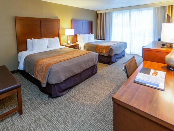 Comfort Inn Downtown : photo 8 de la chambre chambre 2 lits queen-size - non-fumeurs