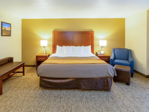 Comfort Inn Downtown : photo 6 de la chambre chambre lit king-size standard - non-fumeurs