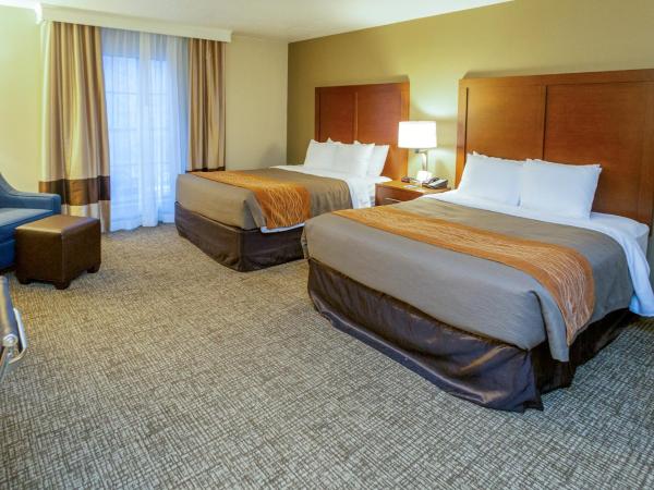 Comfort Inn Downtown : photo 1 de la chambre chambre 2 lits queen-size - non-fumeurs