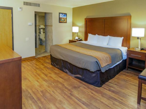 Comfort Inn Downtown : photo 2 de la chambre chambre lit king-size - accessible aux personnes à mobilité réduite/non-fumeurs