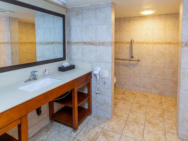 Comfort Inn Downtown : photo 1 de la chambre chambre lit king-size - accessible aux personnes à mobilité réduite/non-fumeurs