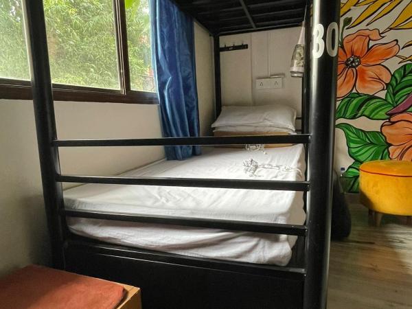 Krazy Solo Hostel : photo 1 de la chambre dortoir mixte de 6 lits