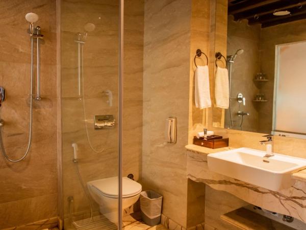 Basera Boutique Hotel : photo 6 de la chambre chambre deluxe supérieure heritage - navette gratuite depuis l'aéroport, 10 % de réduction sur la nourriture et les boissons, 10 % de réduction sur le spa