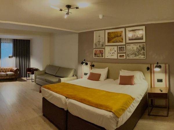 Hotel Indigo Madrid - Princesa, an IHG Hotel : photo 3 de la chambre chambre lit king-size supérieure avec canapé-lit