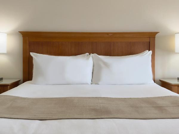 Coast Capri Hotel : photo 4 de la chambre chambre premium côte avec 1 lit king-size