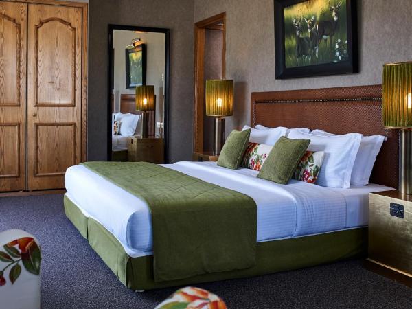 Hotel Du Lac Congress Center & Spa : photo 1 de la chambre chambre double ou lits jumeaux