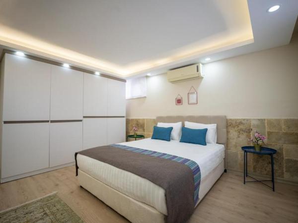 ABC Apart Hotel : photo 3 de la chambre appartement - vue sur jardin