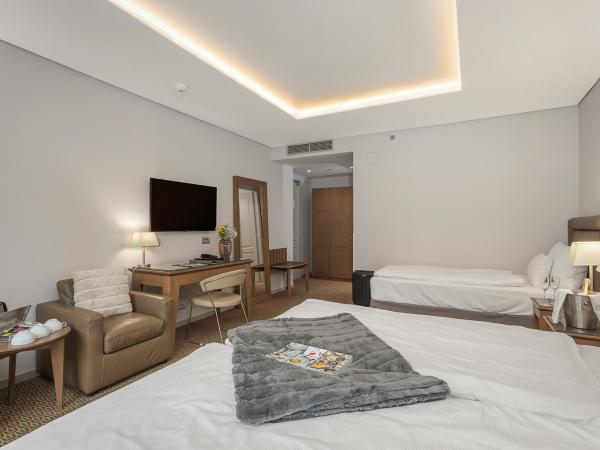 Hotel Royal Prague : photo 3 de la chambre chambre triple