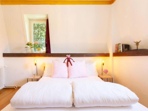 Hotel Beau Séjour Lucerne : photo 3 de la chambre chambre double