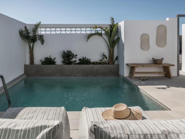 A Hotel Mykonos : photo 2 de la chambre grande suite familiale avec piscine privée