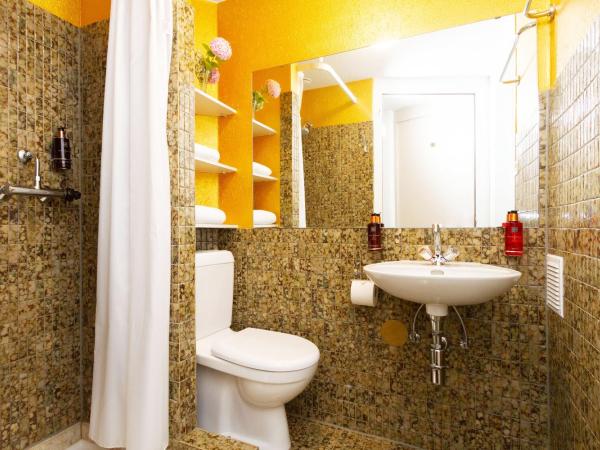 Hotel Beau Séjour Lucerne : photo 6 de la chambre chambre simple