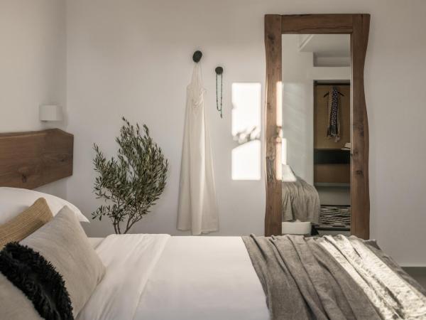 A Hotel Mykonos : photo 6 de la chambre grande suite familiale avec piscine privée