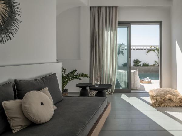 A Hotel Mykonos : photo 5 de la chambre grande suite familiale avec piscine privée