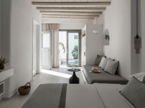 A Hotel Mykonos : photo 3 de la chambre chambre island deluxe avec piscine privée