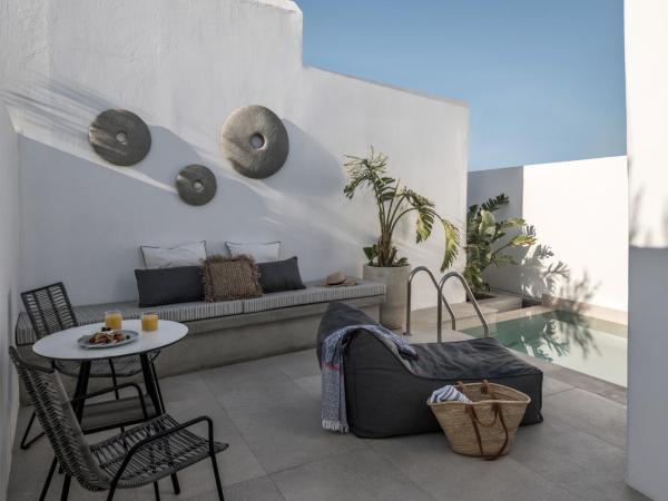 A Hotel Mykonos : photo 1 de la chambre chambre island deluxe avec piscine privée