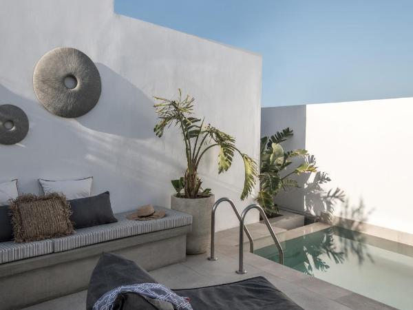 A Hotel Mykonos : photo 2 de la chambre chambre island deluxe avec piscine privée