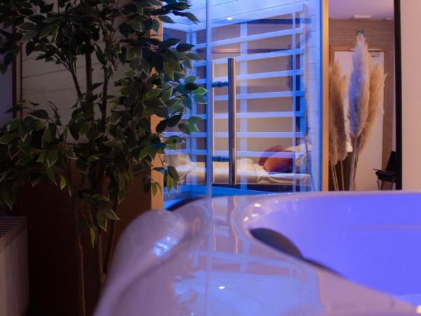 Spa Palawan privé avec jacuzzi et sauna Liège : photo 1 de la chambre studio avec baignoire spa