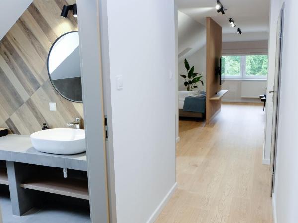 Hotel Rezydencja AS & Spa-Najwyżej w Karpaczu : photo 5 de la chambre appartement