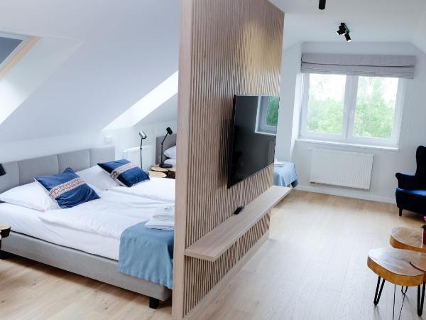 Hotel Rezydencja AS & Spa-Najwyżej w Karpaczu : photo 3 de la chambre appartement standard