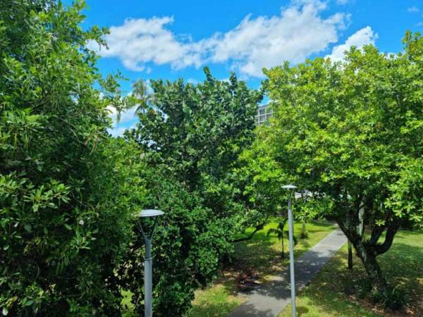Cairns Private Apartments : photo 2 de la chambre studio avec vue sur jardin