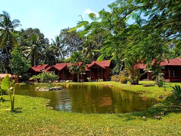 Tanjung Inn : photo 3 de la chambre chambre familiale deluxe