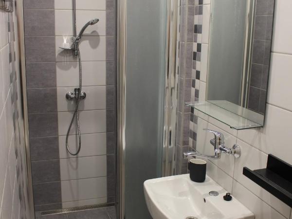 Hostinec a Penzion Staré Nádraží : photo 3 de la chambre chambre double avec salle de bains privative