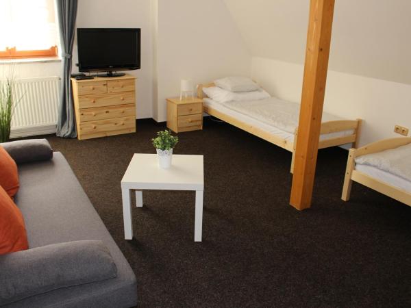 Hostinec a Penzion Staré Nádraží : photo 1 de la chambre chambre double avec salle de bains privative