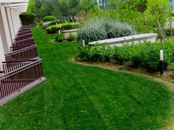 Savoy Beach Hotel & Thermal Spa : photo 4 de la chambre chambre simple avec balcon