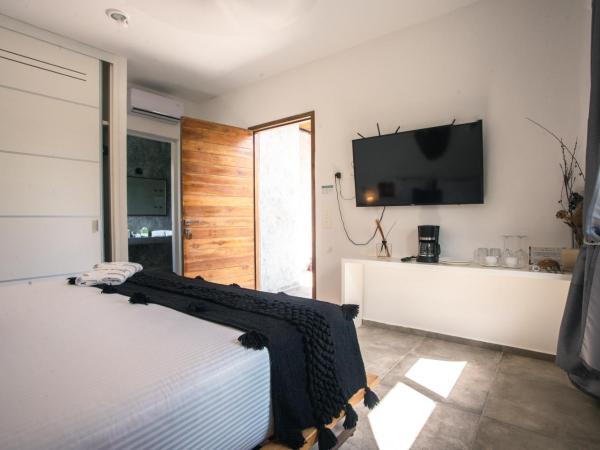 Panacea Condo Tulum : photo 4 de la chambre suite avec piscine privée