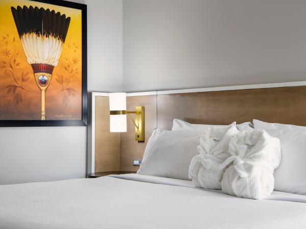 Wyndham Garden Winnipeg Airport : photo 4 de la chambre chambre lit king-size adaptée aux personnes malentendantes - non-fumeurs