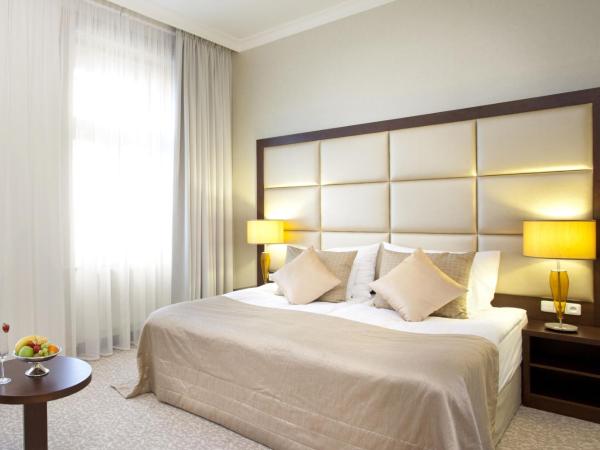 Kosher Hotel King David Prague : photo 4 de la chambre chambre de luxe avec forfait pension complète sukkot