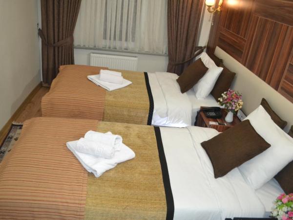 Grand Fatih Hotel : photo 1 de la chambre chambre quadruple standard